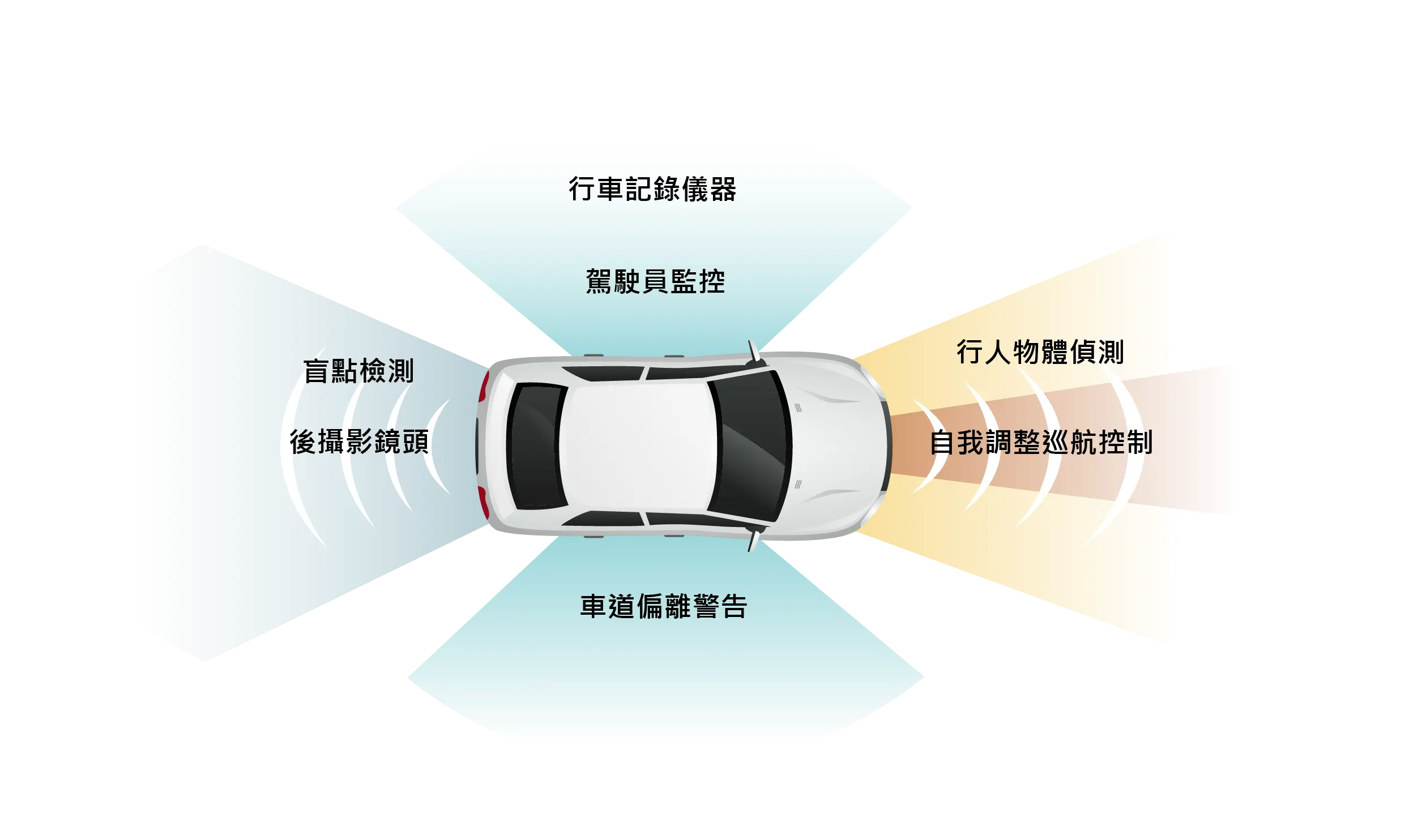 汽車(全車掃描)